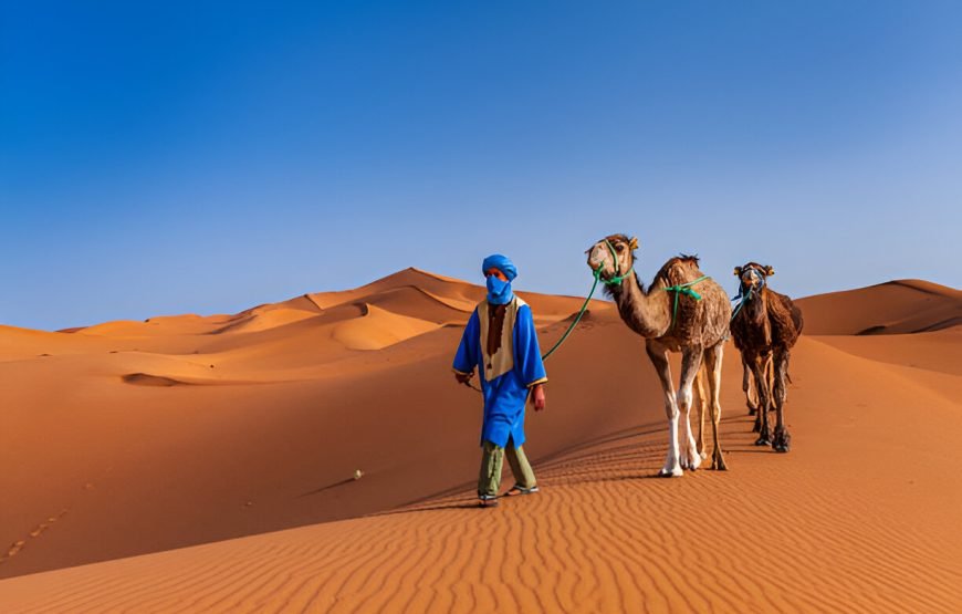 A Trip to the golden dunes of Merzouga