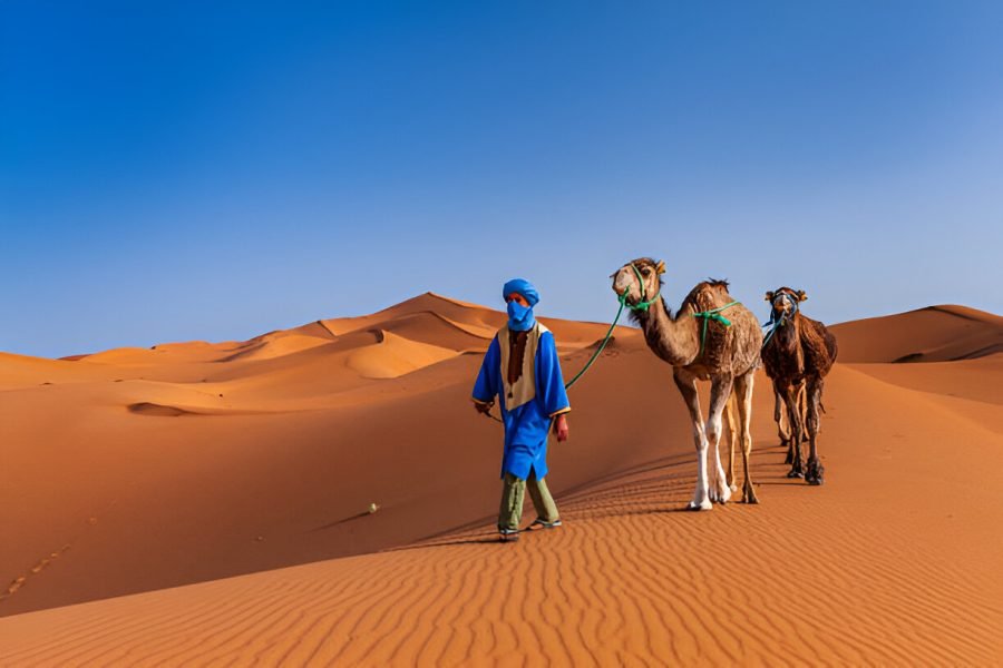 A Trip to the golden dunes of Merzouga