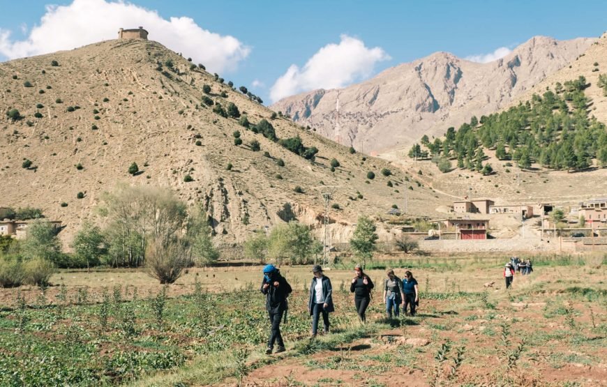 10 Days Trekking Ait Bougmaz and Zaouiat Ahansal