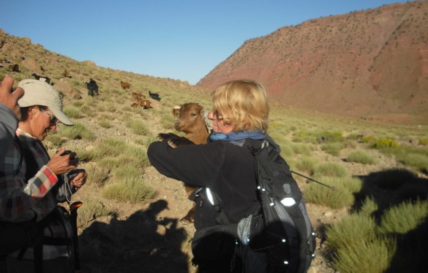 10 Days Trekking Ait Bougmaz and Zaouiat Ahansal