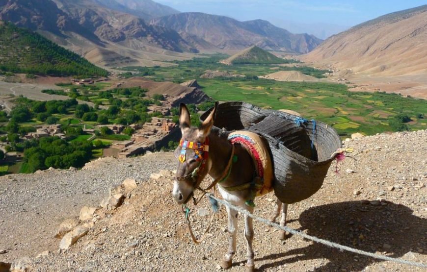 10 Days Trekking Ait Bougmaz and Zaouiat Ahansal