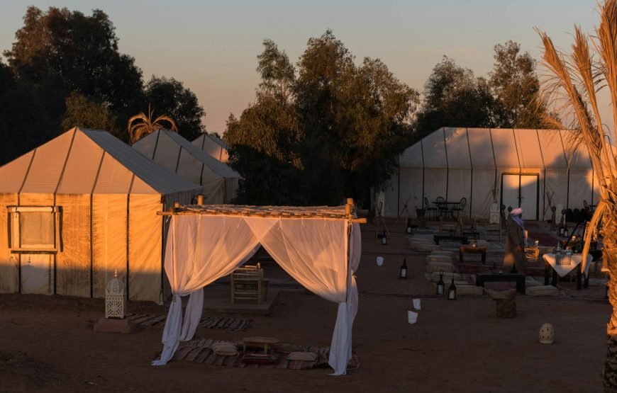 A Trip to the golden dunes of Merzouga