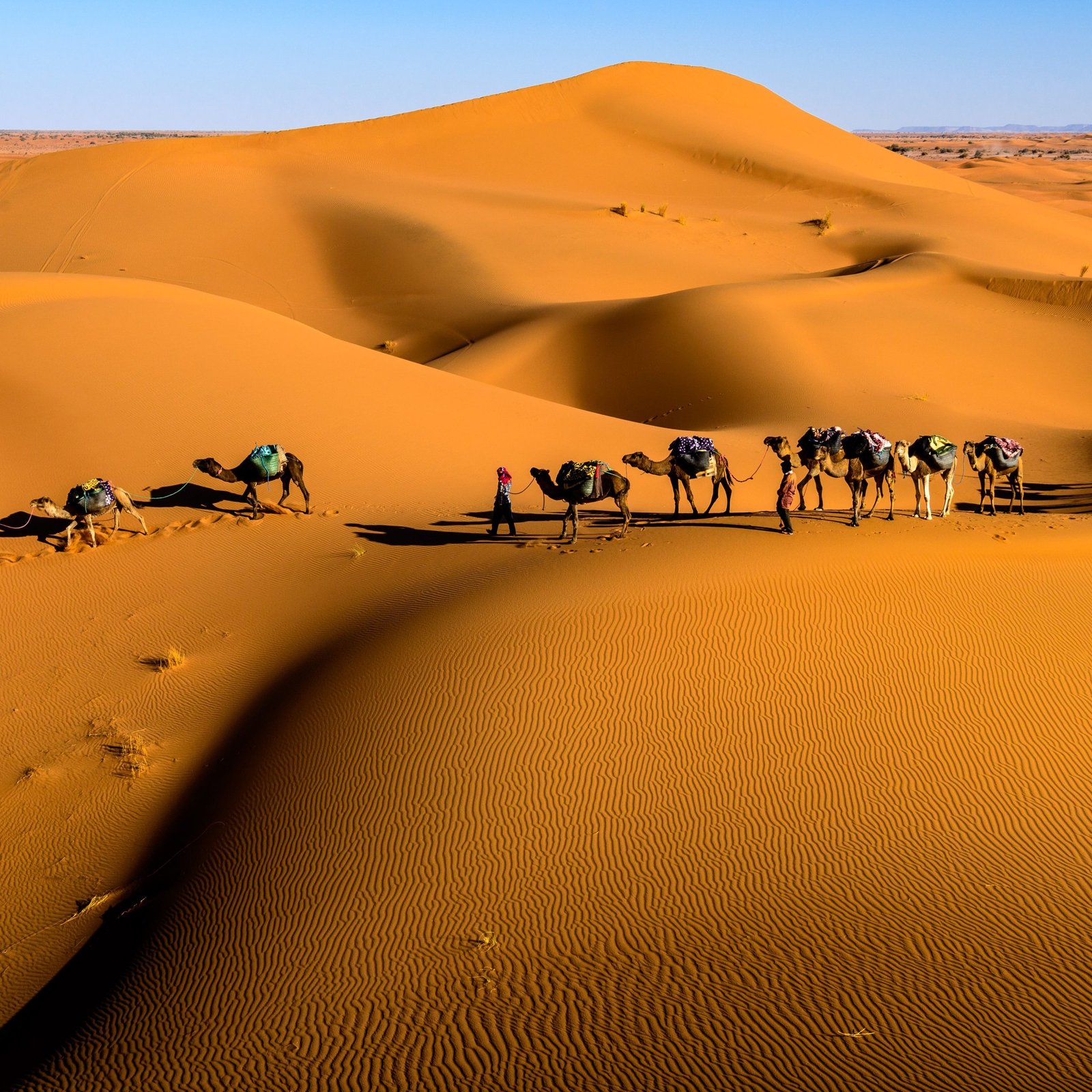 Sahara Desert & Southern Oases