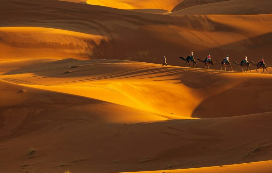 A Trip to the golden dunes of Merzouga