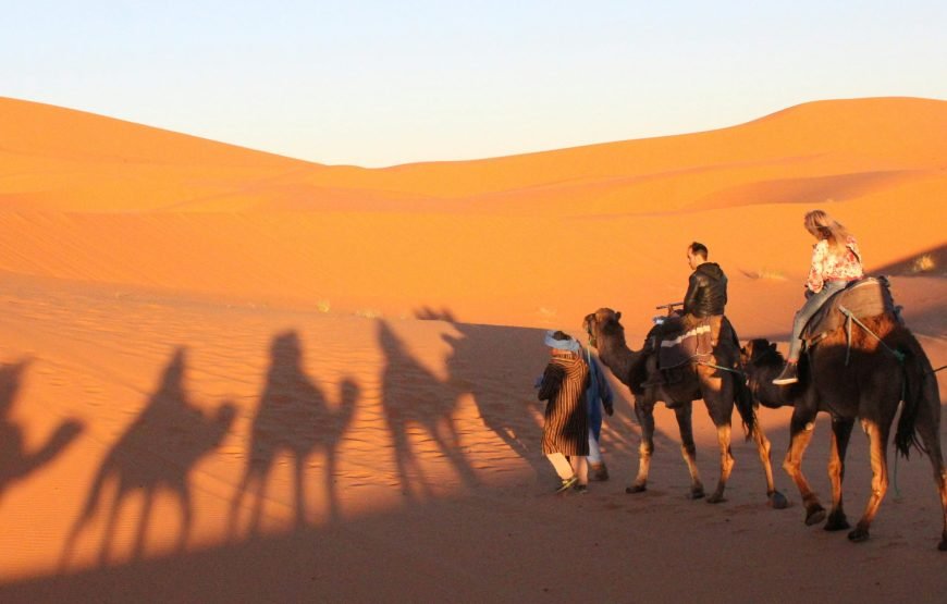 A Trip to the golden dunes of Merzouga