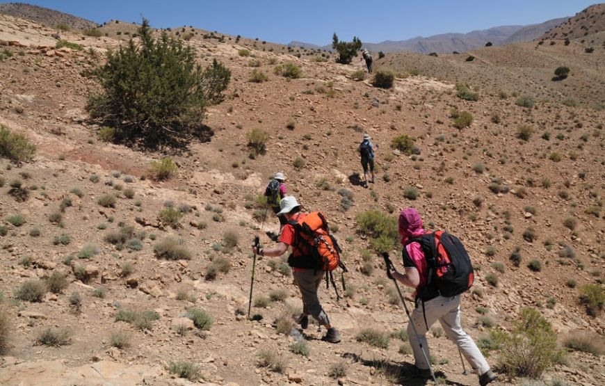 10 Days Trekking Ait Bougmaz and Zaouiat Ahansal